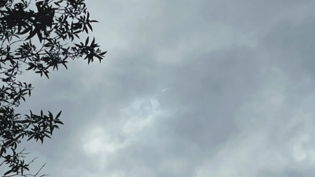 Watching the Annular Solar Eclipse in Costa Rica