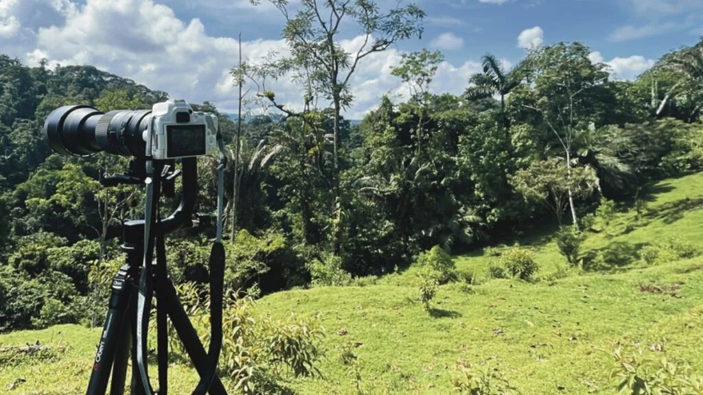 Camera setup in the pasture area ready to look for raptor birds at Nectar Pollen Reserve in Costa Rica