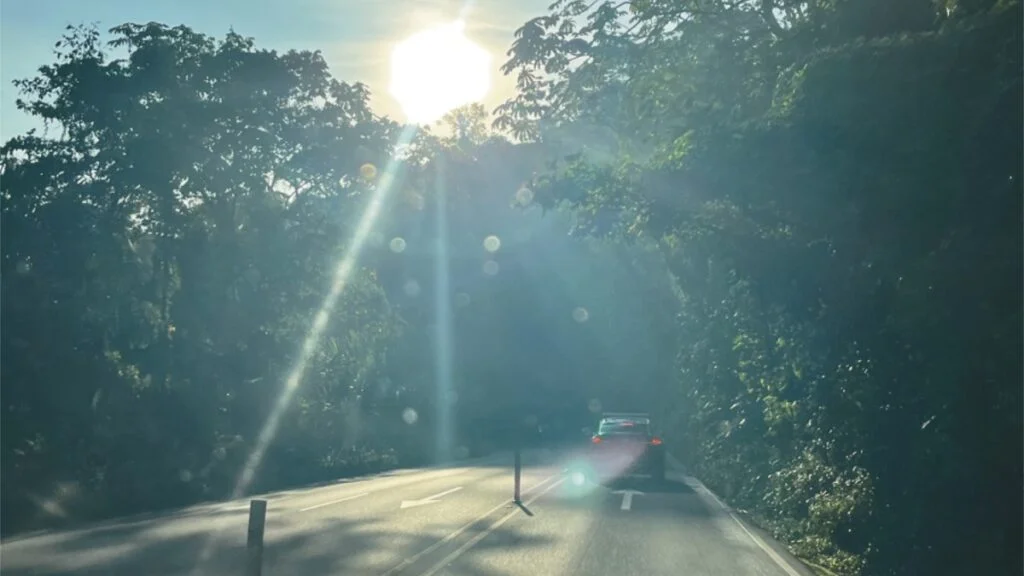 Early morning drive on Route 32 from Heredia to Guapiles, to go birdwatching at Nectar Pollen Reserve in Costa Rica